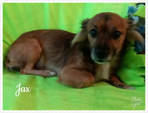 Jax