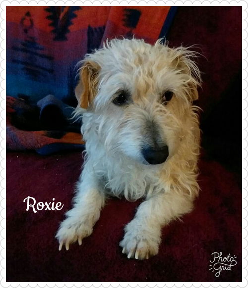 Roxie