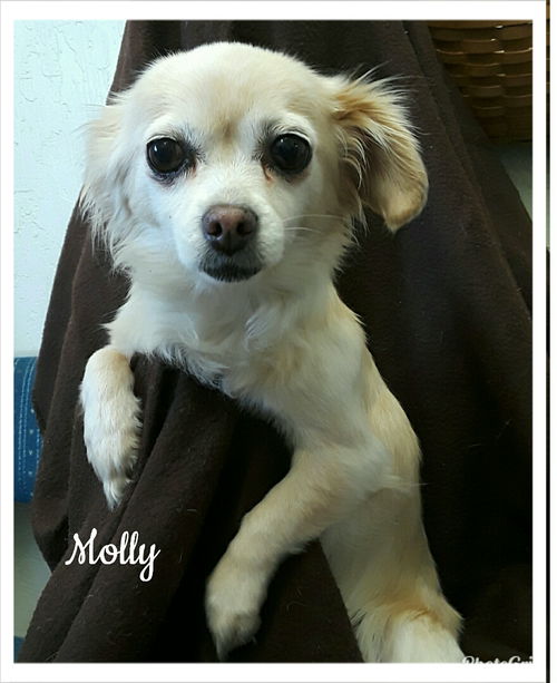 Molly