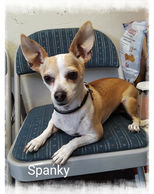 Spanky