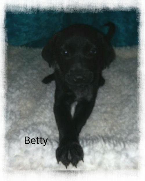 Betty