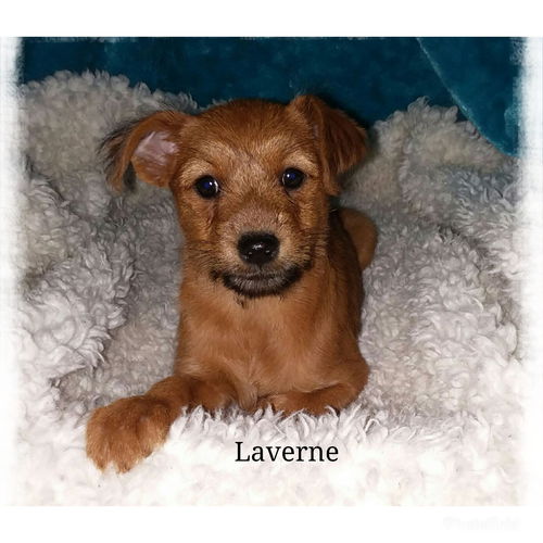 LaVerne