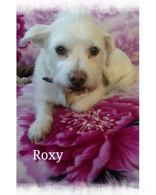 Roxy