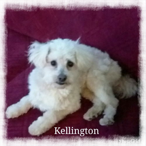 Kellington