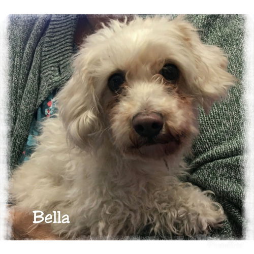 Bella