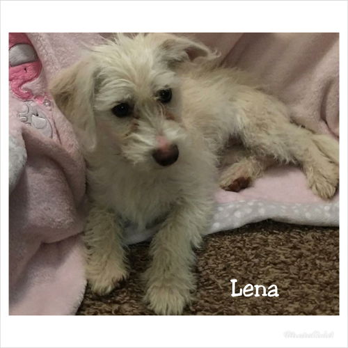 Lena