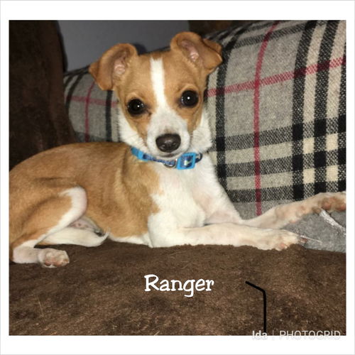 Ranger