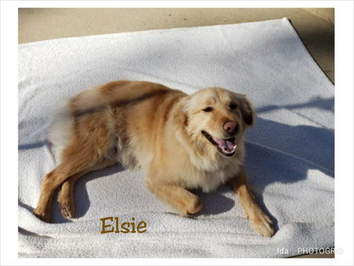 Elsie