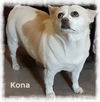 Kona