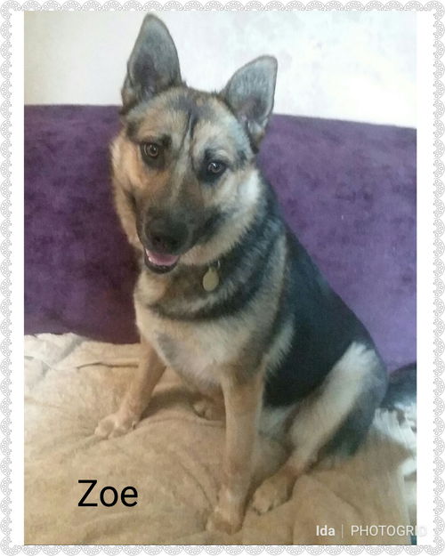 Zoe