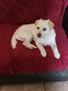 Cubby