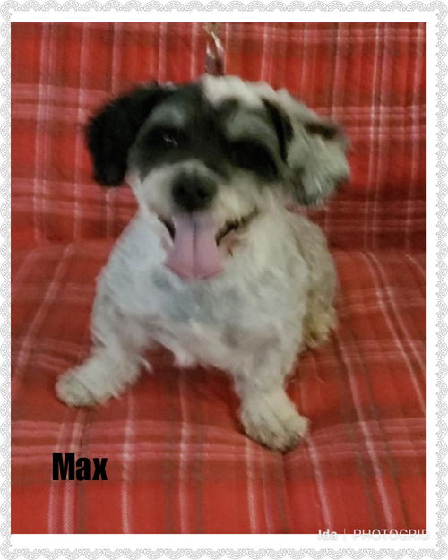 Max