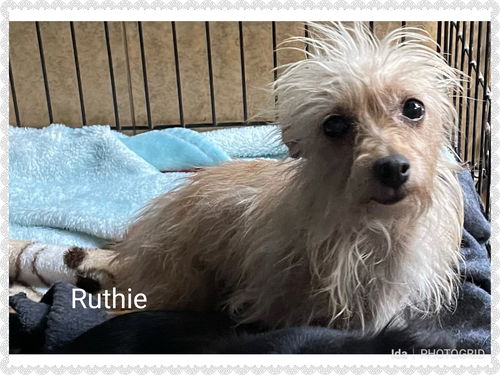 Ruthie