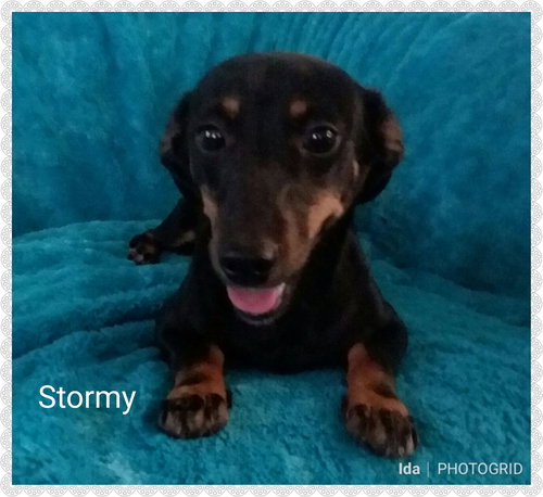 Stormy