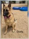 Dusty
