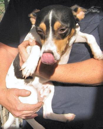 Spanky