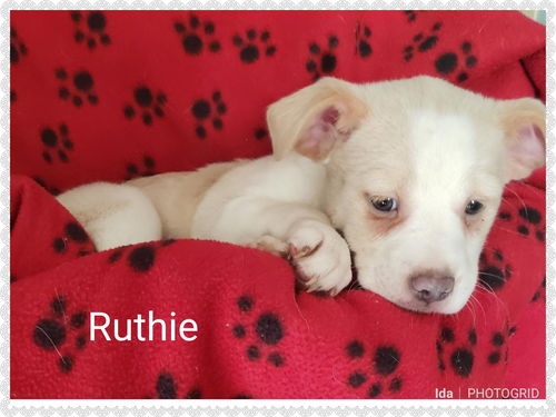 Ruthie