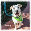 Danny
