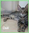 Chili