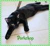 Porkchop