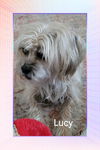 Lucy