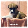 Pretty Girl