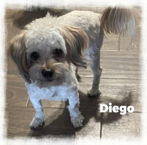 Diego