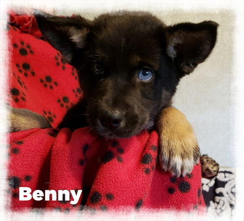 Benny