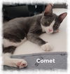 Comet