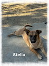 Stella