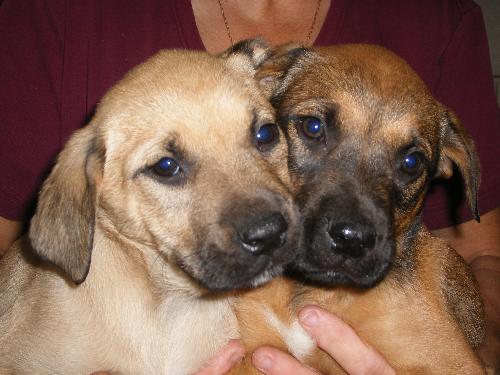 Cubby and Cleo