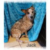 Jack