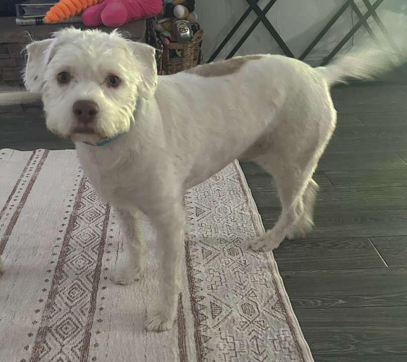 Tyson
