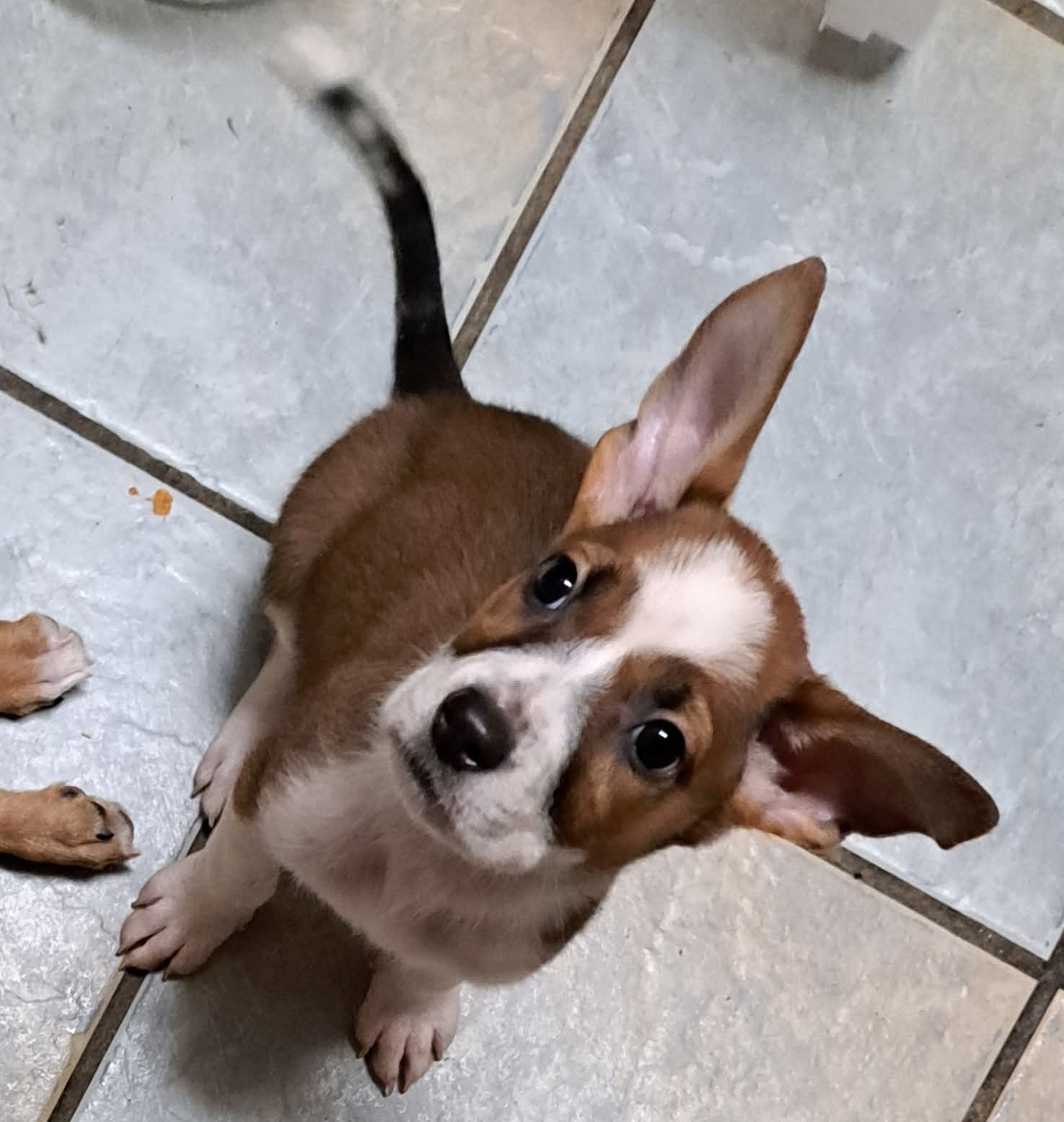 Mia