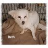 Beth