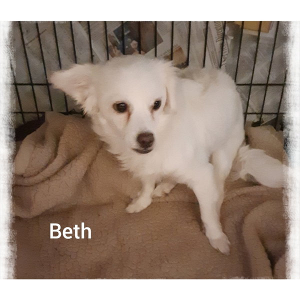 Beth