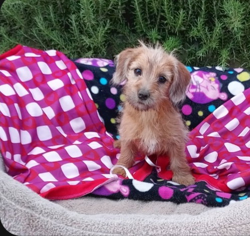 Faith