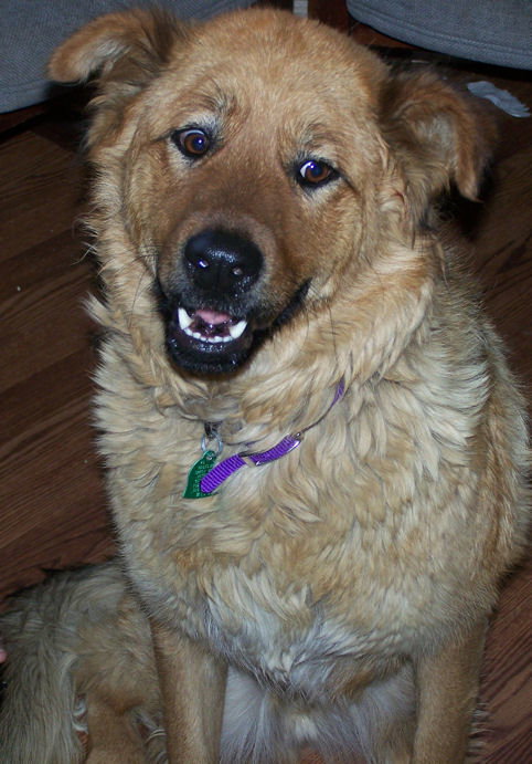 Snickers