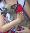 Bitsy Boo