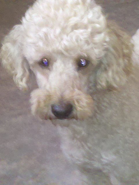 Spencer