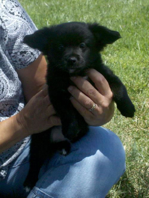 Bailey