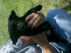 Bailey