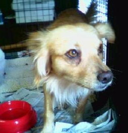 Cubby