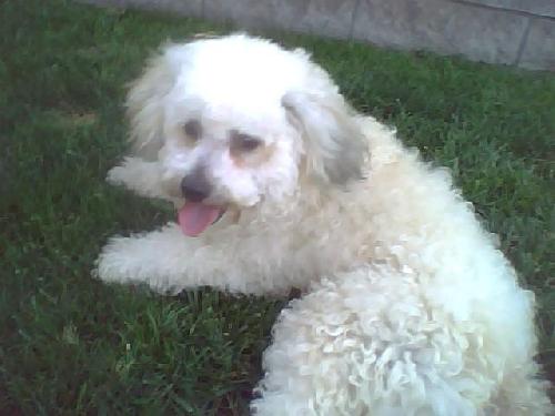Snowball