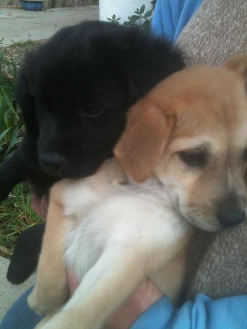 Shelley n Sheila