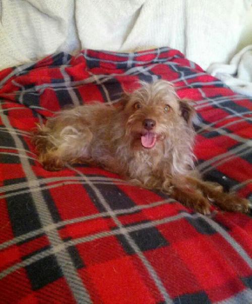 Skyla