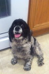 Sweet Daisy