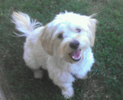 Stanley