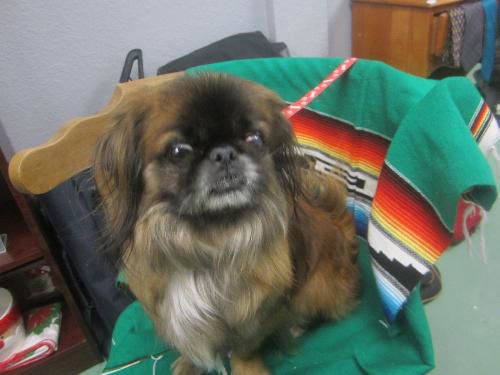 Lucas