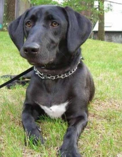 Duke